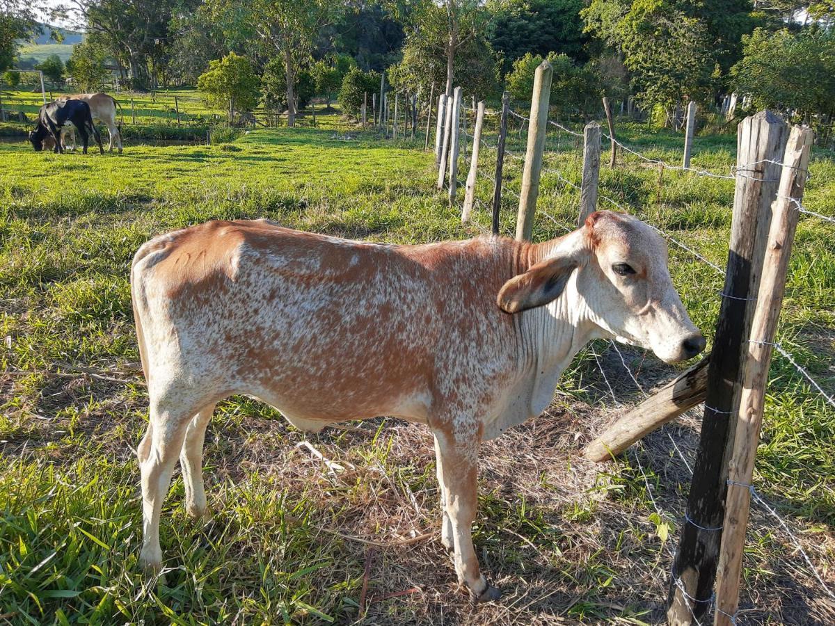 Pousada Roseira Lagoinha Sp Екстер'єр фото
